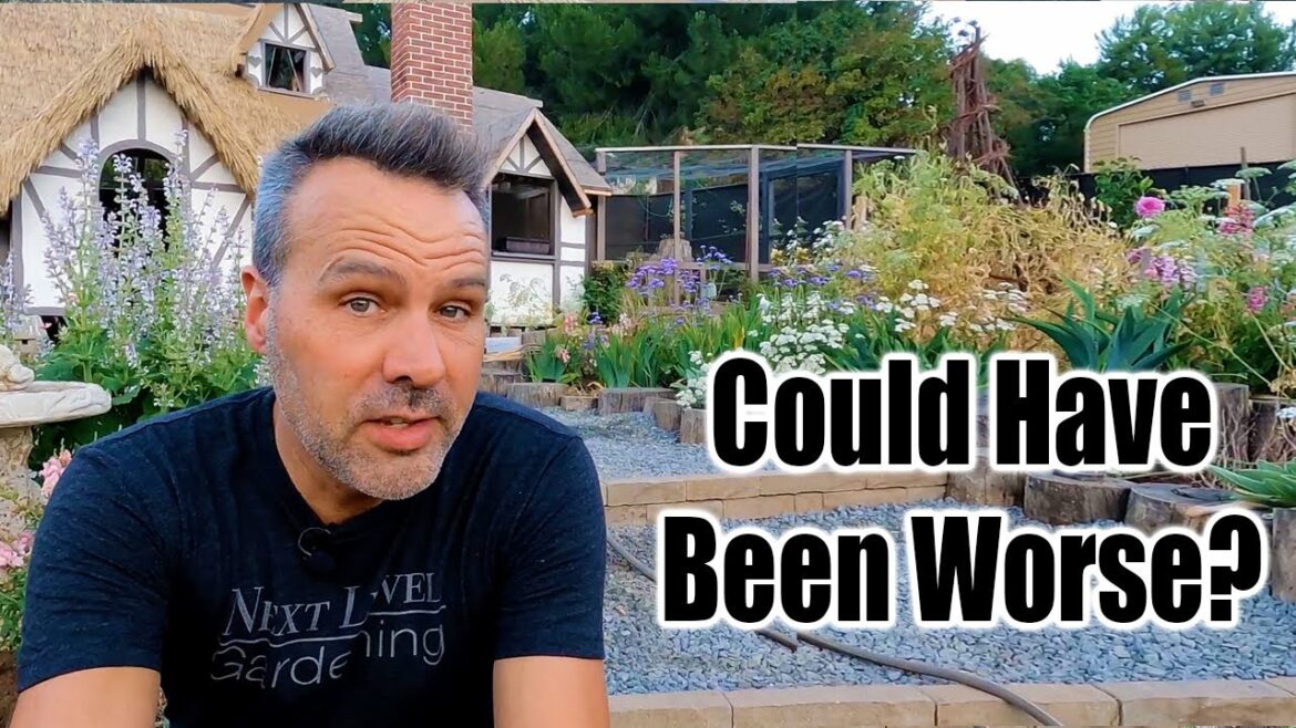 July Garden Tour (After Being Gone 11 Days!)