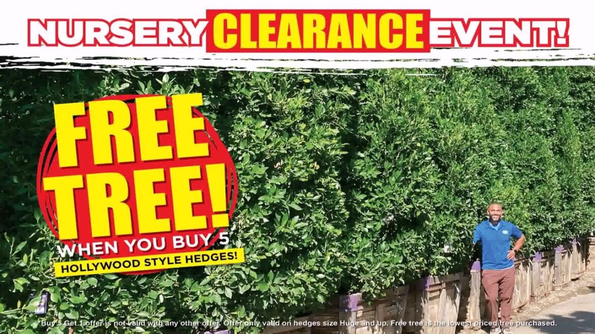 Front Yard Landscaping Ideas Hedges