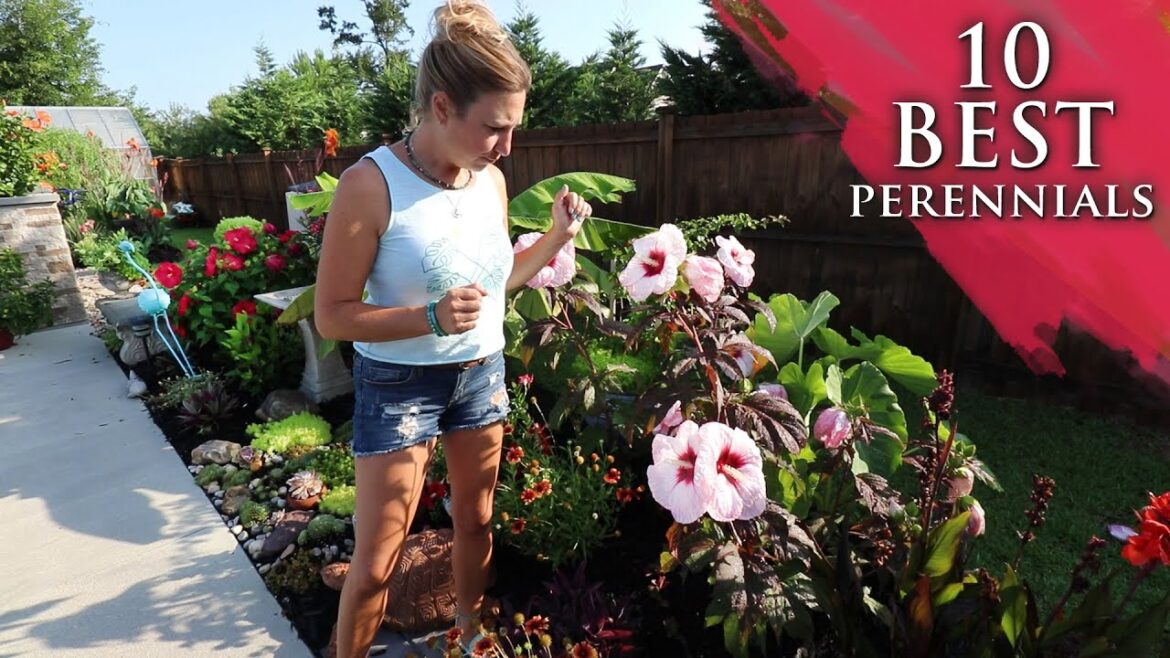 10 BEST perennials for your garden! | Lots of colorful flowers! 10 BEST perennials for your garden! | Lots of colorful flowers!