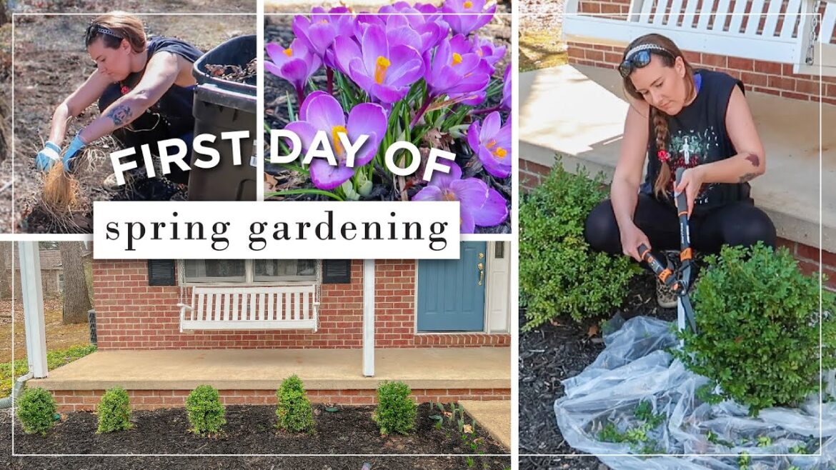 Spring Yard Clean Up | Pruning Boxwoods into Balls | March Garden Tour | 2022 Landscaping Plans