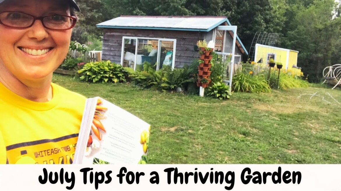 Mastering July Chores: Tips for a Thriving Garden & Harvest!