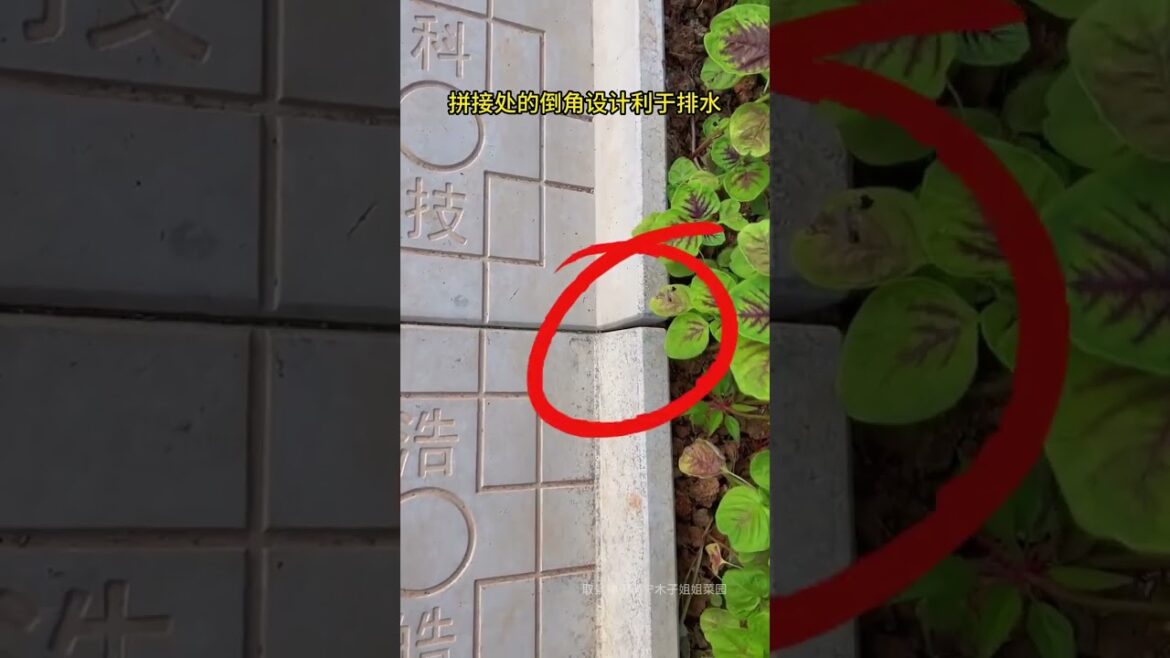 Garden Vlog from countryside with vegetable natural Garden Vlog from countryside with vegetable natural