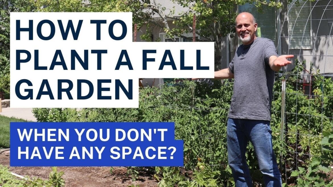 How to plant a fall garden when you don't have any space