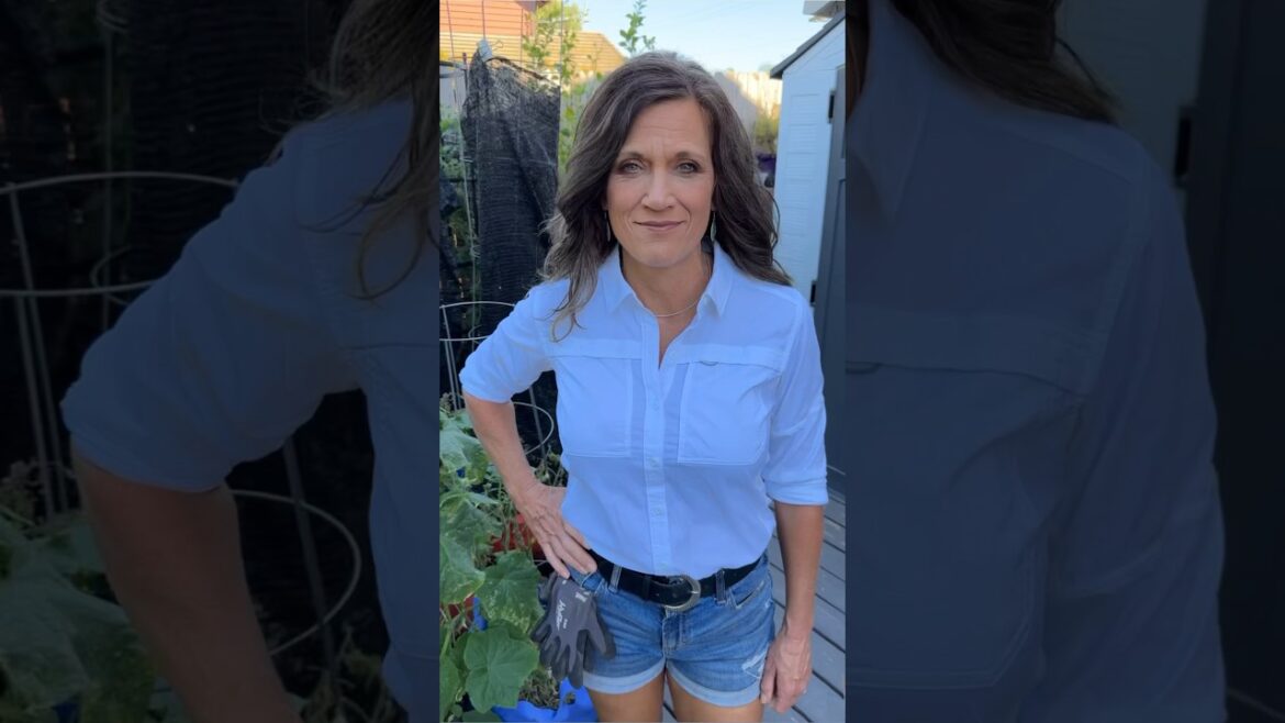 Over 1000 videos of CaliKim29