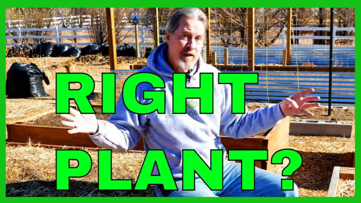 How to Use Growing Season Length (for Gardening Success) How to Use Growing Season Length (for Gardening Success)