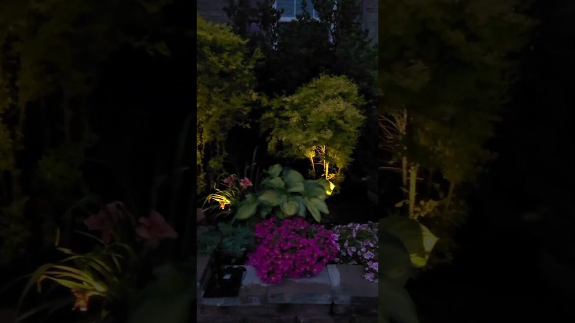 Makeover : My Front Yard & Porch Area #gardening #landscapelighting #youtubeshorts