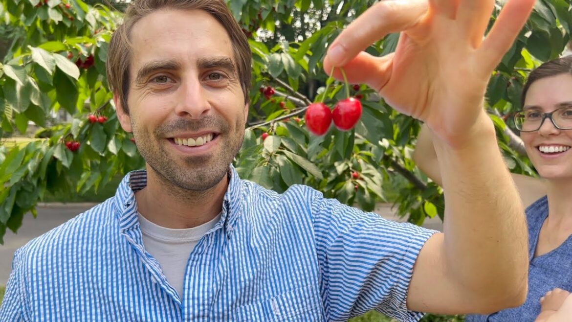 Iowa City Lawn Love: Gassman Family