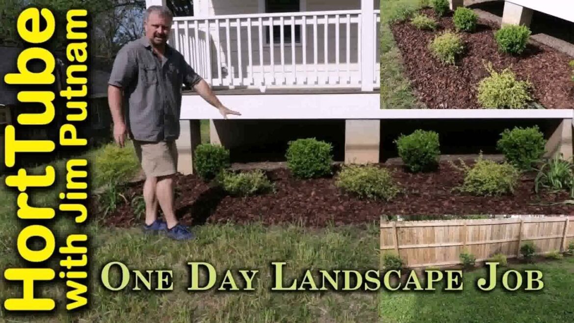 Backyard Landscape Designs Low Maintenance