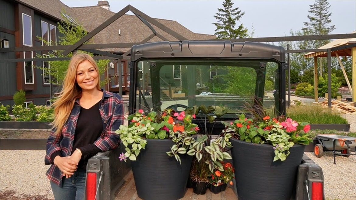 Container Garden Recipe for Shade | Surprise Plant Delivery & Healthy Juicing to Composting| May 22 Container Garden Recipe for Shade | Surprise Plant Delivery & Healthy Juicing to Composting| May 22