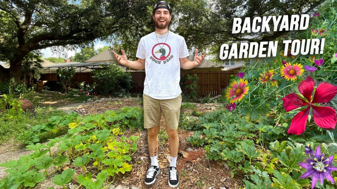 My Entire Backyard Garden Tour! 3 Year Old Food Forest & Native Plants | Zone 9 Houston, Texas