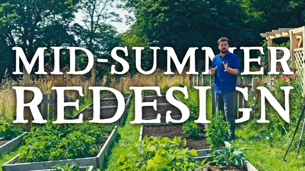 Huw Richards: My Mid-Summer Garden Redesign | Huw’s Garden Diaries My Mid-Summer Garden Redesign | Huw's Garden Diaries