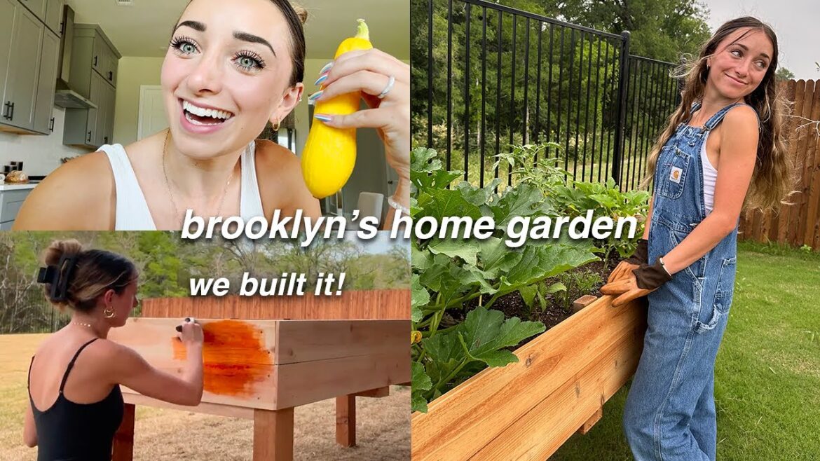 I built a garden in my backyard | Brooklyn and Dakota