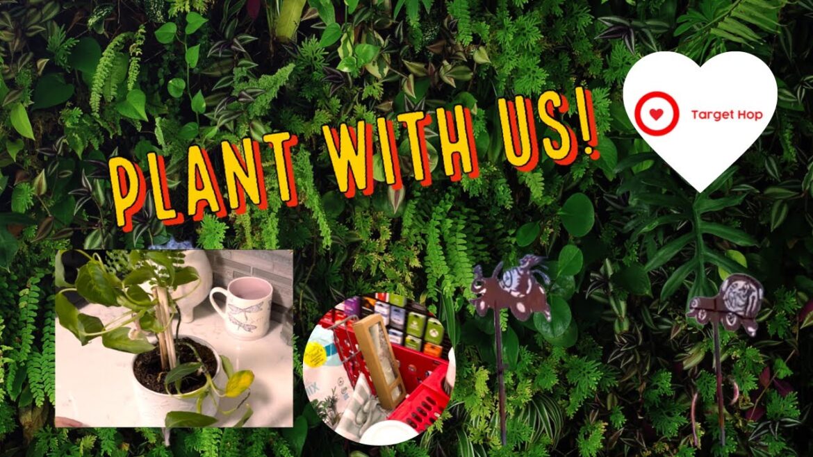 Plants Getting Cramped? Gardening 🪴 - S01EP5 Emeryville