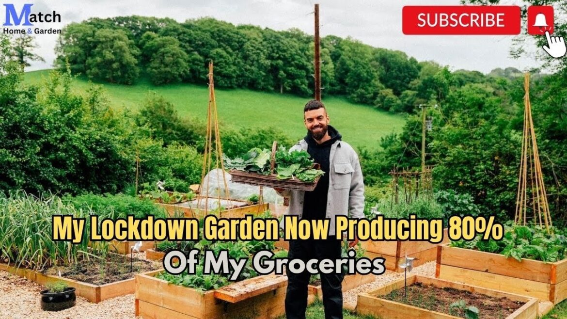 My Lockdown Garden Now Producing 80% Of My Groceries  Plantstrong Foods  Factor| Match Home & Garden