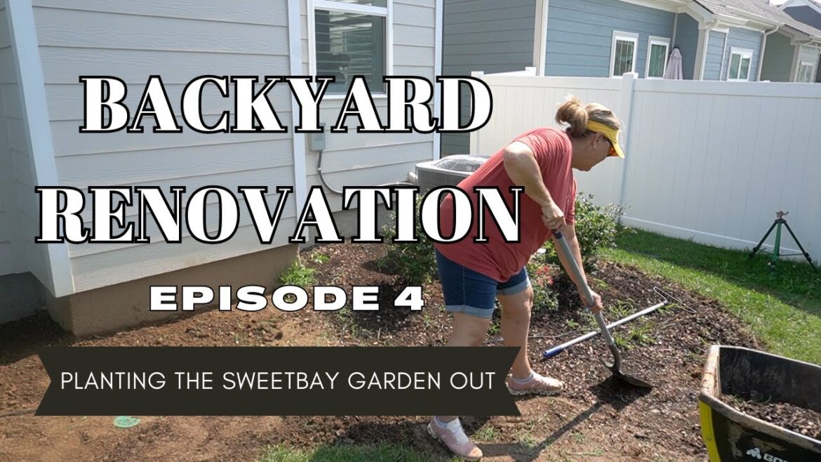 Backyard Part 4: The Transformation Continues! Backyard Part 4: The Transformation Continues!