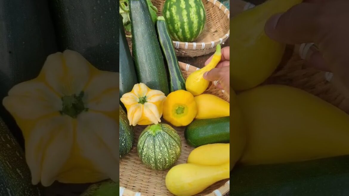 Backyard Garden Harvest🌱🙏🏾 #shorts #harvest #garden