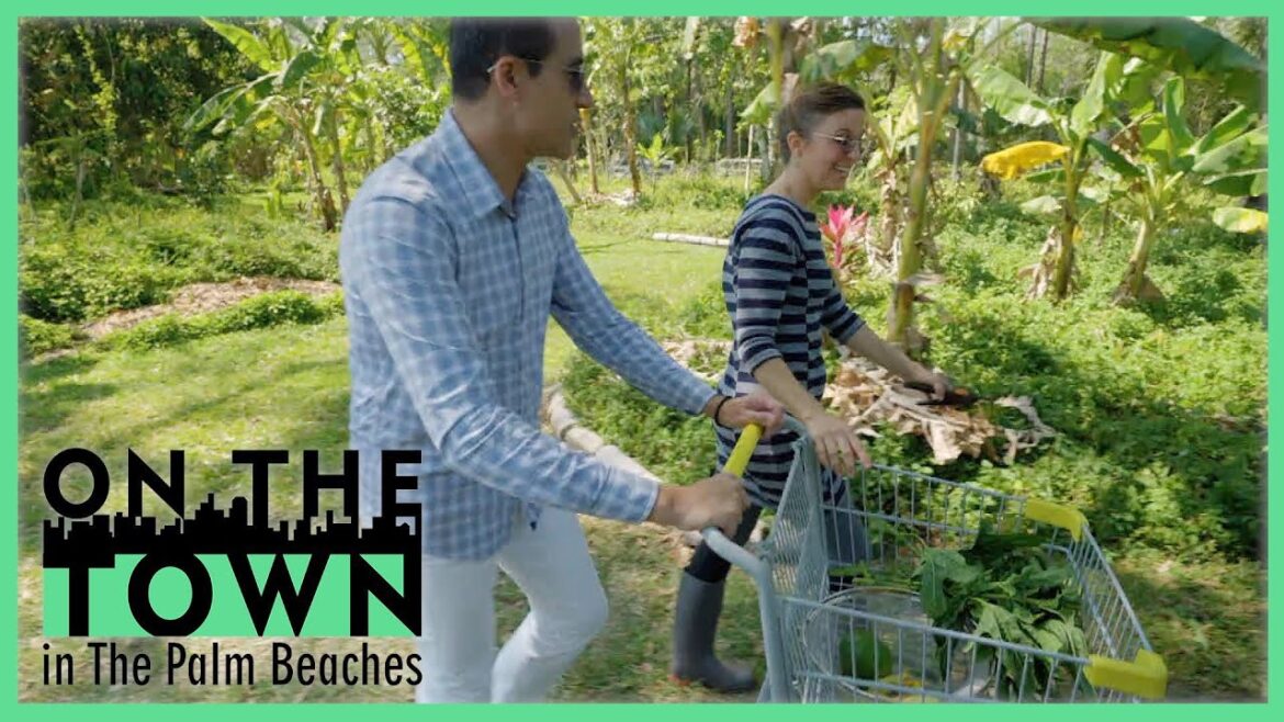 Pike Wellness: Edible Learning Spaces | On the Town, Health & Wellness