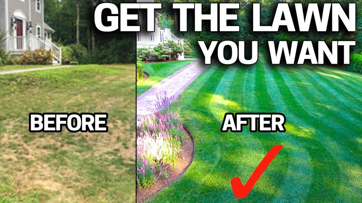 How to FIX an UGLY Lawn with RESULTS – Step by Step for Beginners EASY How to FIX an UGLY Lawn with RESULTS - Step by Step for Beginners EASY