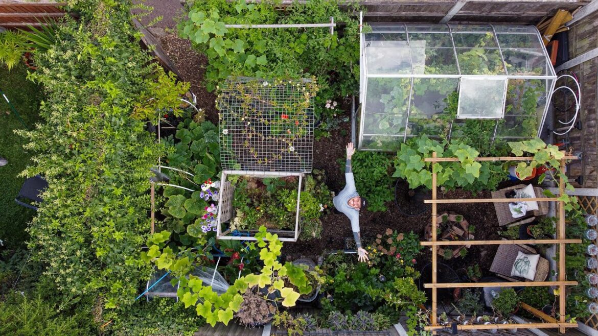 Zero waste Urban Farmer! Zero waste Urban Farmer!