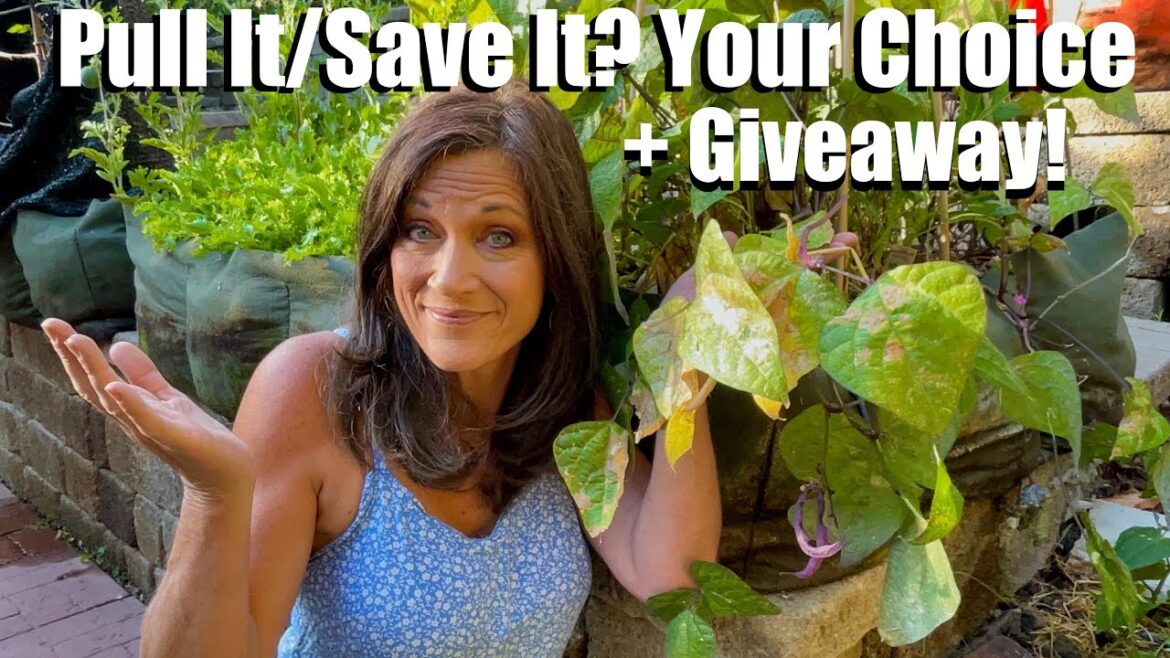 Pull it/Save It? Your Choice + Giveaway!