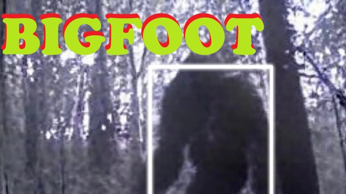 #Bigfoot Encountered By Military
