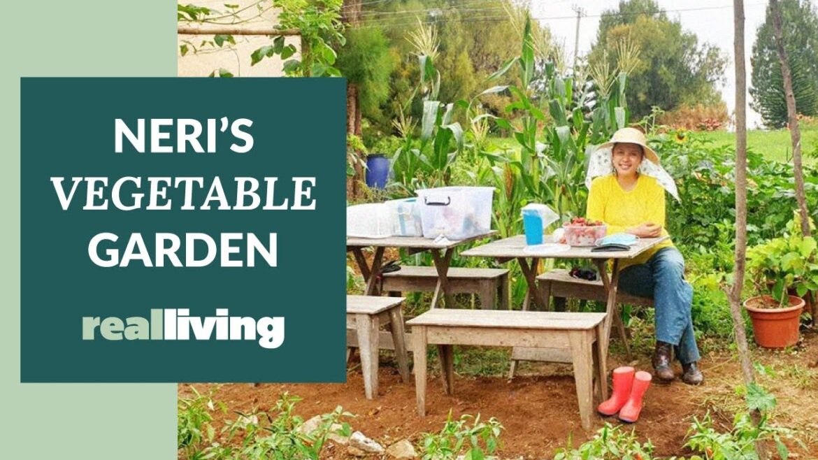 Neri Miranda Will Make You Want To Plant Your Own Vegetable Garden Neri Miranda Will Make You Want To Plant Your Own Vegetable Garden