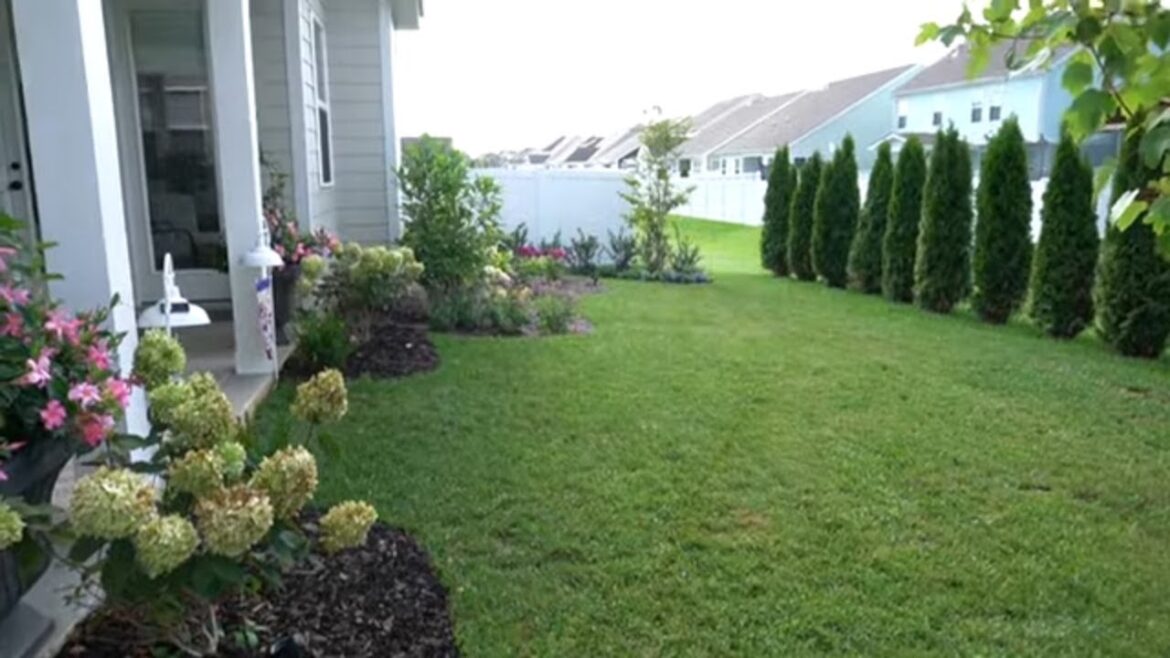 CREATING OUR GARDEN OASIS FROM BEGINNING TO END