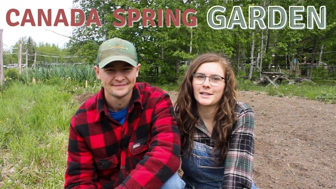 Spring Vegetable & Fruit Planting | Gardening in Canada Spring Vegetable & Fruit Planting | Gardening in Canada