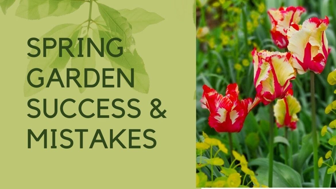Spring garden tour – answers to the top spring gardening questions Spring garden tour - answers to the top spring gardening questions