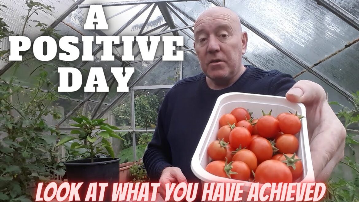 A Positive Day In The Garden [Gardening Allotment UK] [Grow Vegetables At Home ]