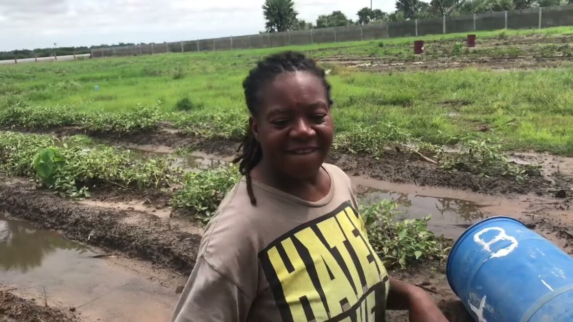 Wow what have SD just discovered in the garden ๐๐??? Wow what have SD just discovered in the garden ๐๐???