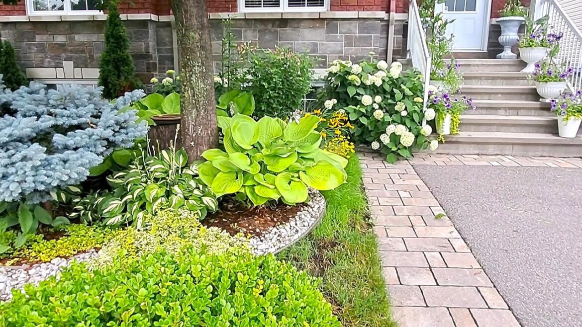 Garden Tour | See what's blooming in our front yard Perennial Garden #garden #gardentour #new