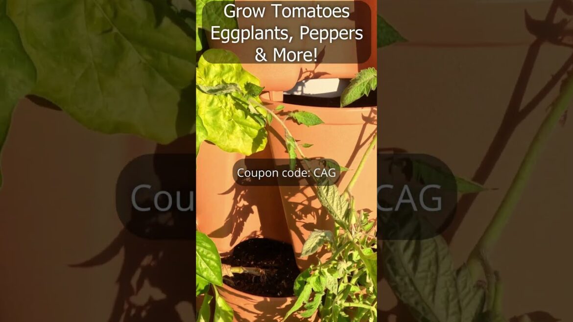 GreenStalk Planter Teracotta Vertical Gardening