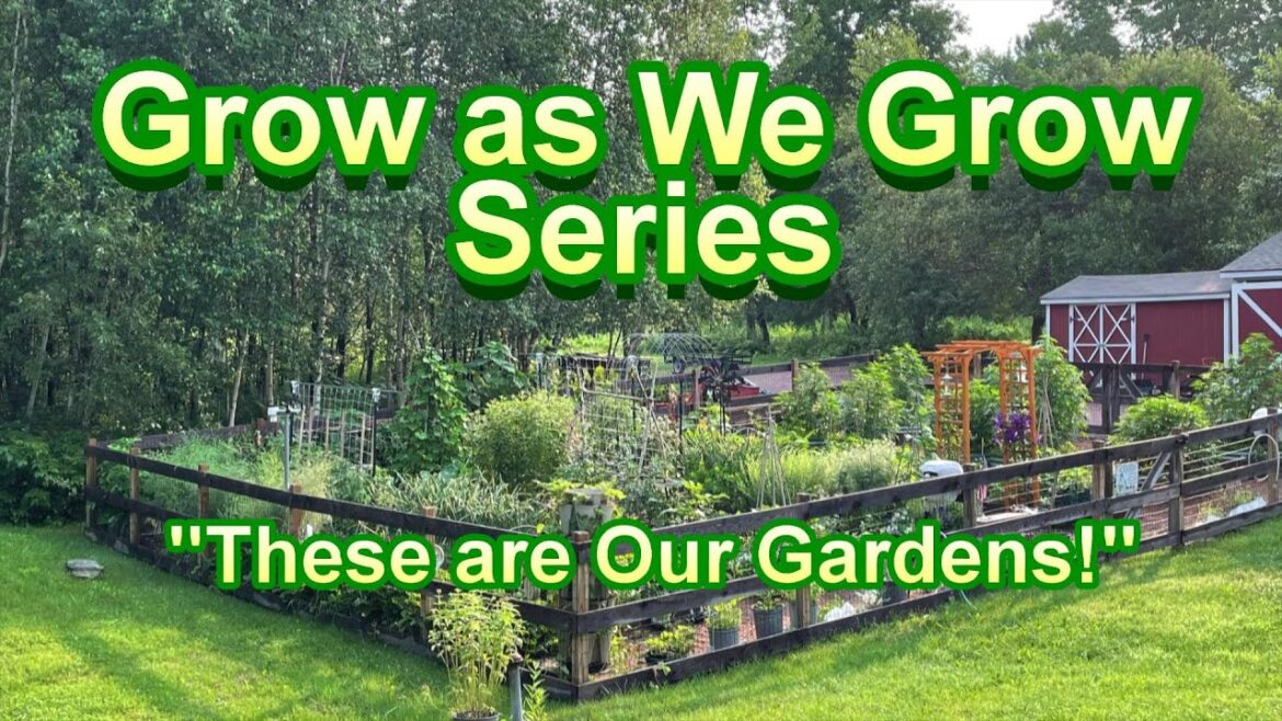 Gary Pilarchik: Garden Video Tours, Tips & Ideas: What’s Growing in My & Perk Member’s Gardens: Grow as We Grow E-7 Garden Video Tours, Tips & Ideas: What's Growing in My & Perk Member's Gardens: Grow as We Grow E-7