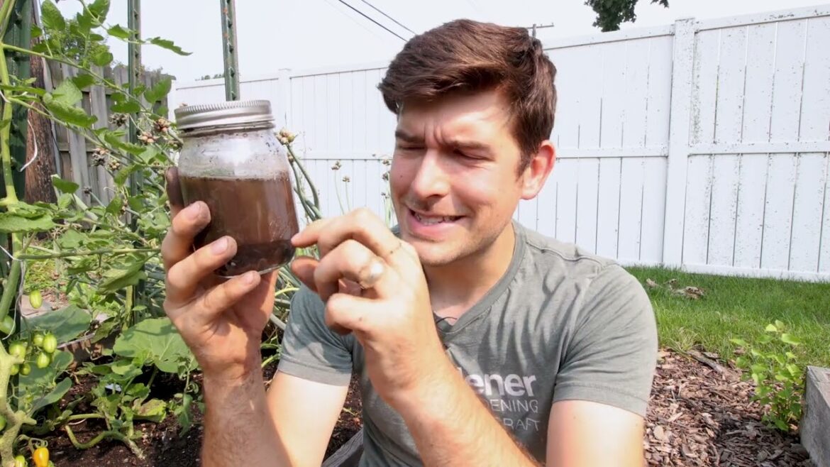 3 SIMPLE Soil Tests Anyone Can Do At Home for FREE