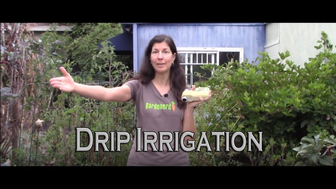 Basic Drip Irrigation for Container Gardens Basic Drip Irrigation for Container Gardens