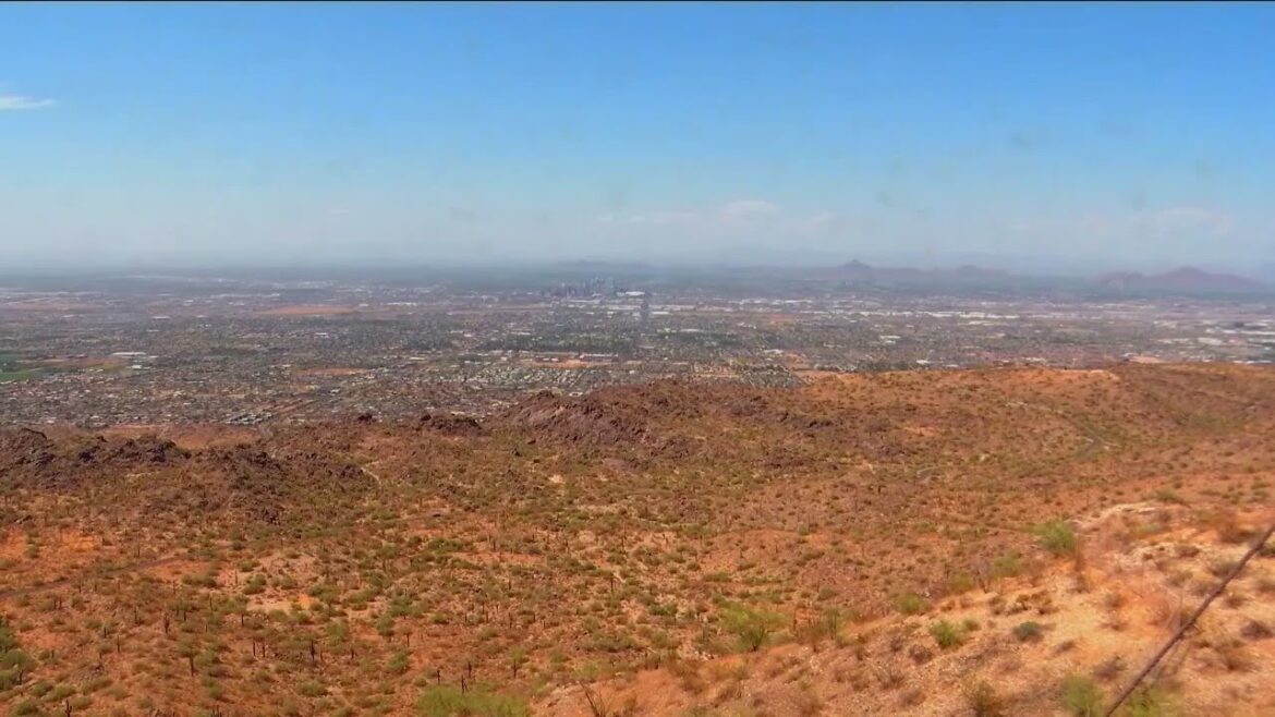 Extreme temps across US killing crops, could threaten food supply