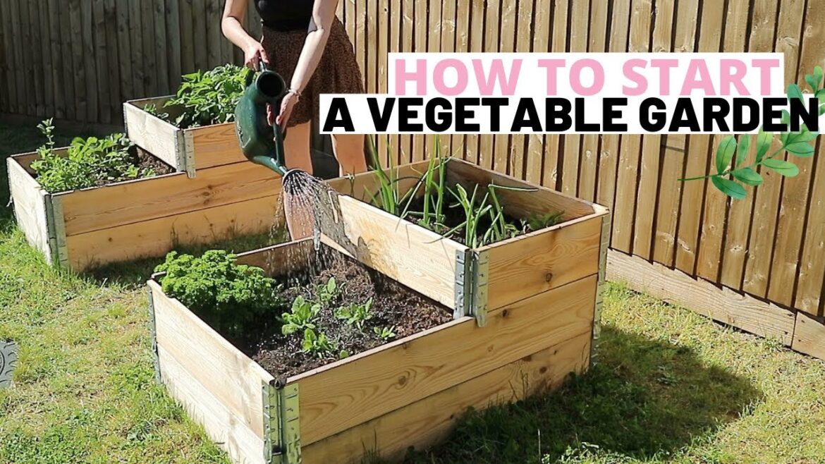 HOW TO START A VEGETABLE GARDEN IN RAISED BEDS UK BEGINNERS GUIDE | Ep2 HOW TO START A VEGETABLE GARDEN IN RAISED BEDS UK BEGINNERS GUIDE | Ep2