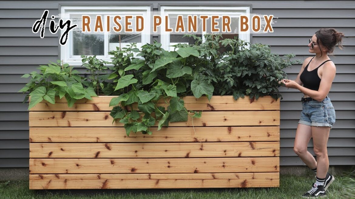 DIY RAISED GARDEN BED PLANTER