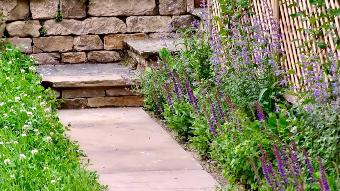 Making an Urban Wildlife Garden – 4K Making an Urban Wildlife Garden - 4K