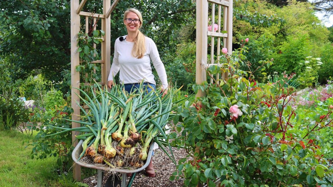 The Garden in July // Harvesting Onions, New No-Dig Bed, Wildflower Seed Trial, & Full Garden Tour