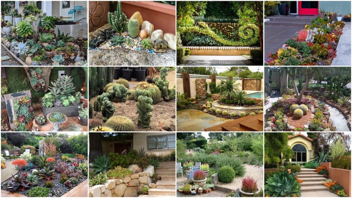 130+ Best Succulent Gardens Ideas | Succulent Garden Landscaping Design Ideas