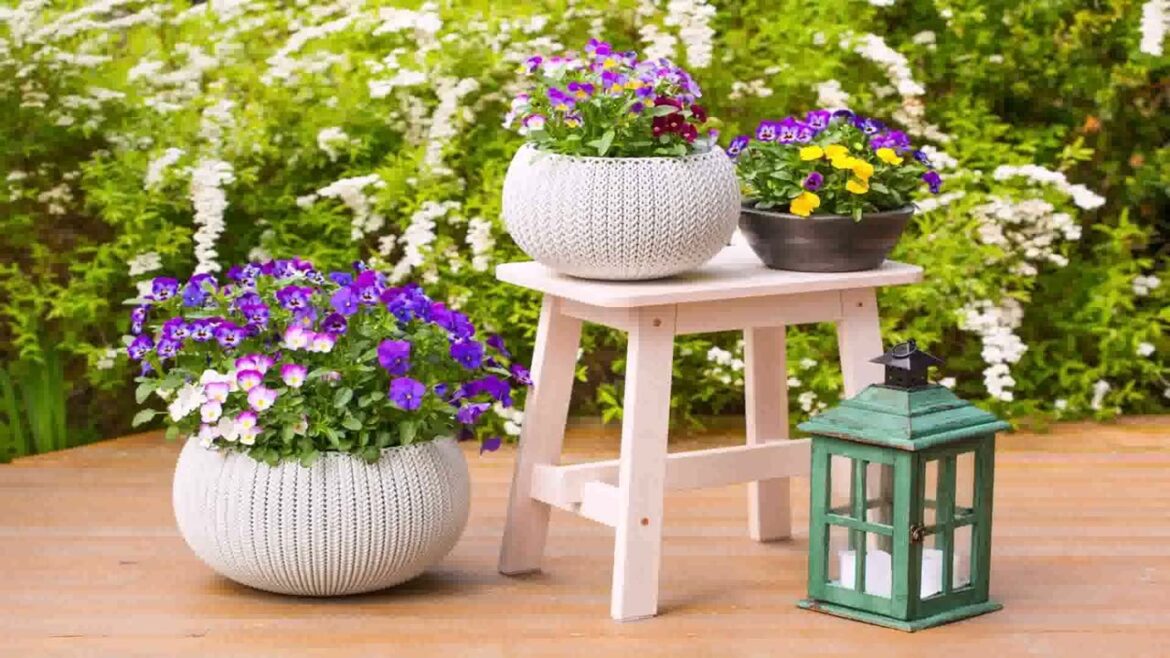 Front Yard Landscaping Ideas Under Window