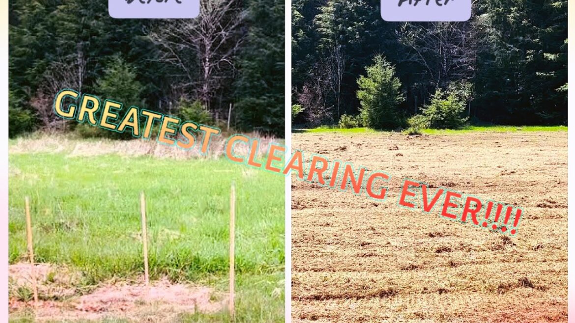 The GREATEST clearing of LAND in all the LANDS 🚜 (Plus garden plans) | RER: Livin the good life 🕶️