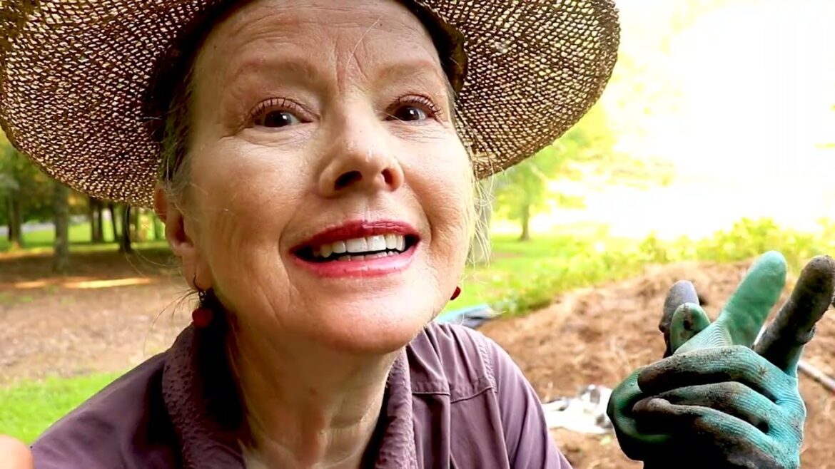 Kaye Kittrell: I’ll NEVER do THIS again! Harvesting the Potato Mound I'll NEVER do THIS again! Harvesting the Potato Mound