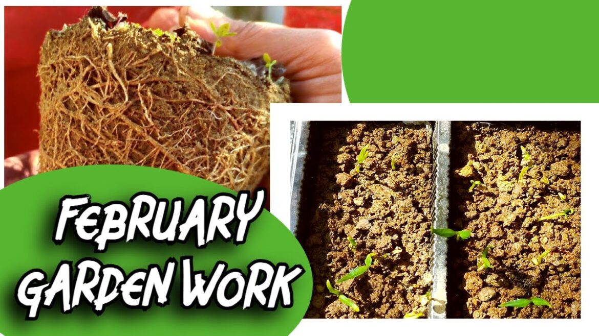 Things Every Gardener should do in February | Green Oxygen