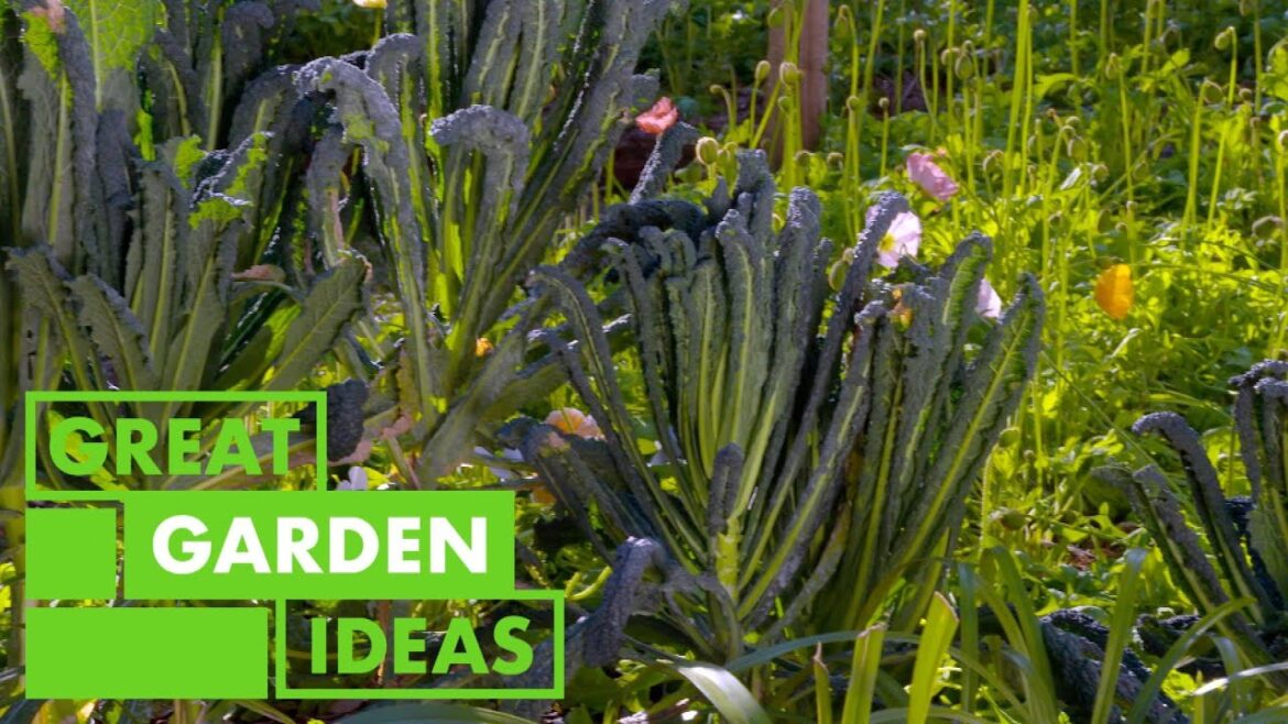 Veggie Garden Hints and Tips | GARDEN | Great Home Ideas Veggie Garden Hints and Tips | GARDEN | Great Home Ideas