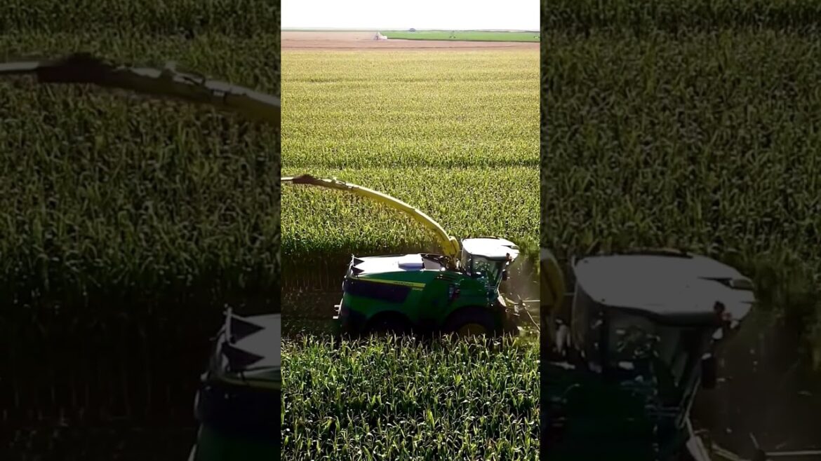 Revolutionizing Agricultural Harvest – Good Gadgets and Machines Make Life Easy Revolutionizing Agricultural Harvest - Good Gadgets and Machines Make Life Easy