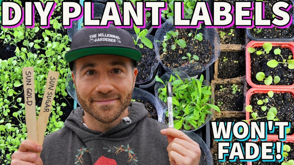 I Tested The BEST DIY Fade Resistant Plant Labels! I Tested The BEST DIY Fade Resistant Plant Labels!