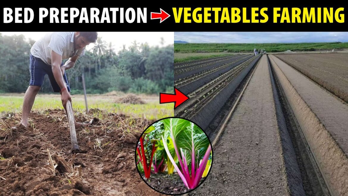 Bed Preparation for Planting Vegetables | Small Space Gardening